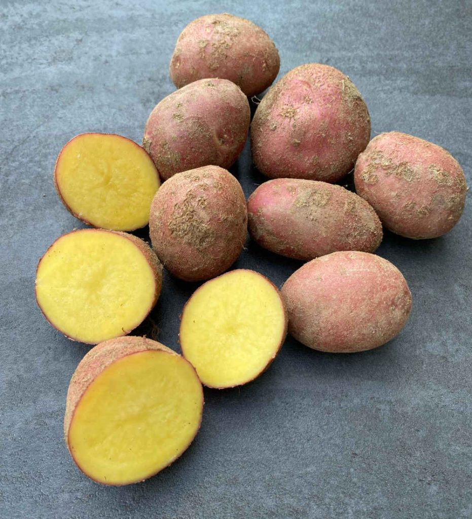 Ekološka kmetija Kurnik Eko krompir