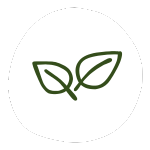 Ekološka kmetija Kurnik ekološka pridelava