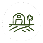 Ekološka kmetija Kurnik lokalno