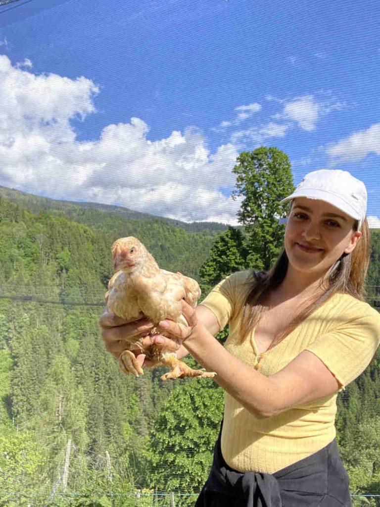 Eko Pišek Eva s piščancem