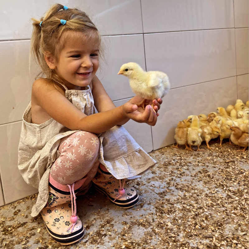 hčerka s piščančkom